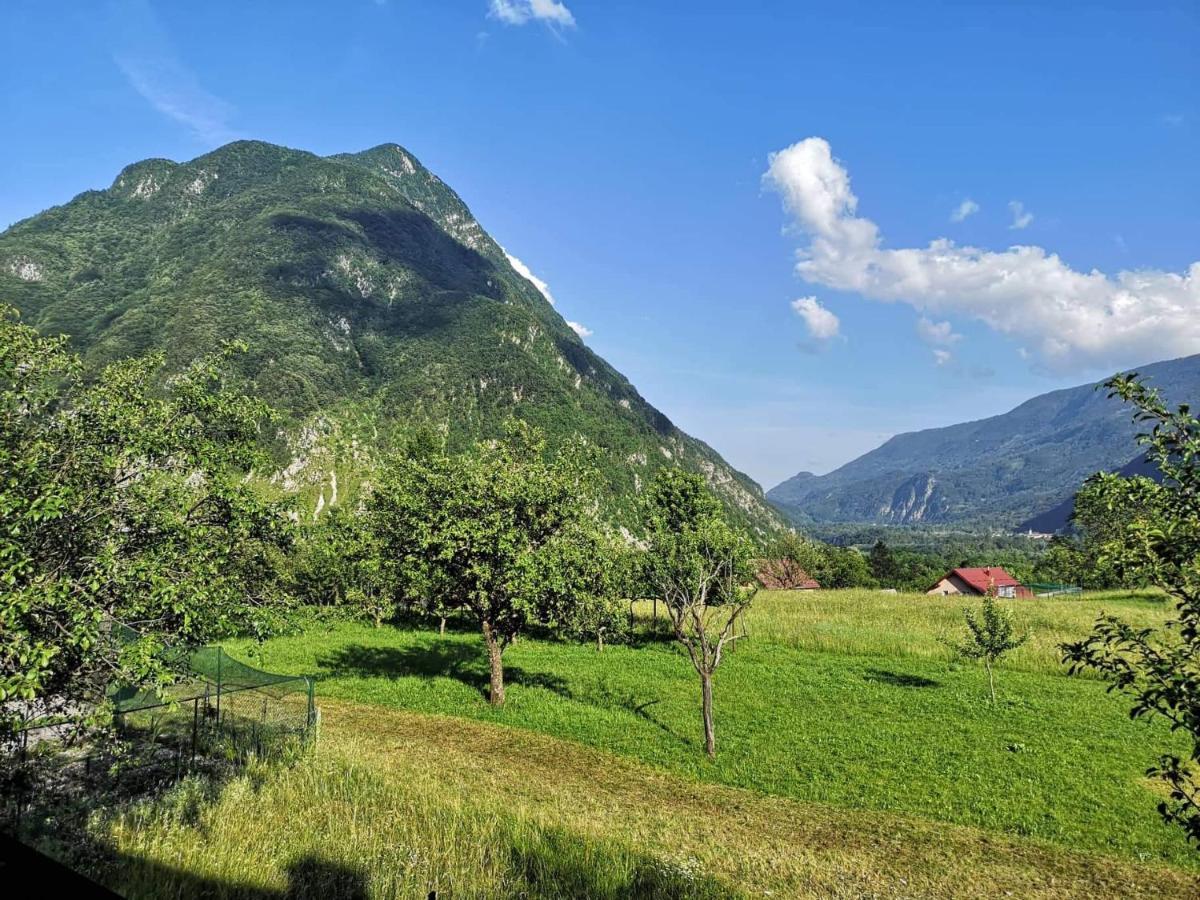 Apartma Floncna Daire Bovec Dış mekan fotoğraf