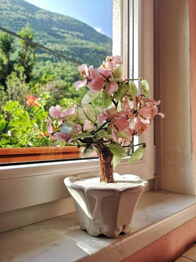 Apartma Floncna Daire Bovec Dış mekan fotoğraf