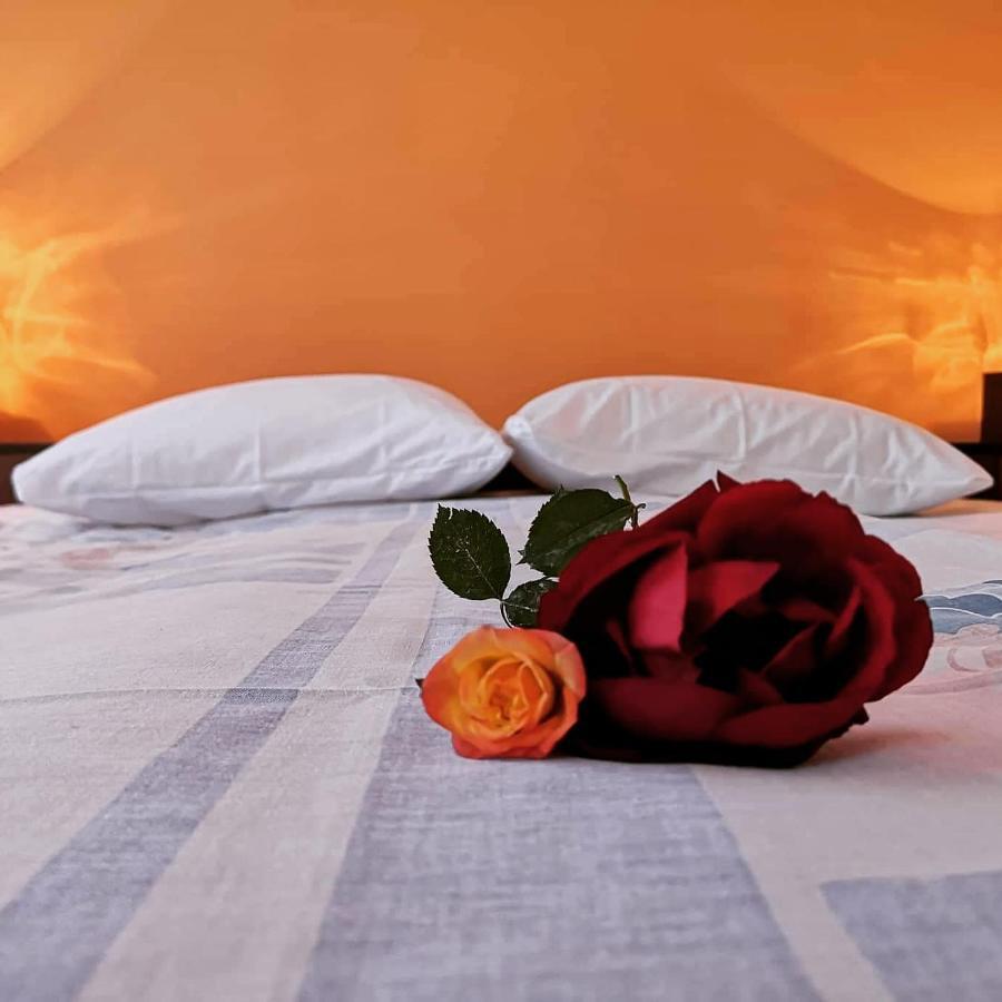 Apartma Floncna Daire Bovec Dış mekan fotoğraf