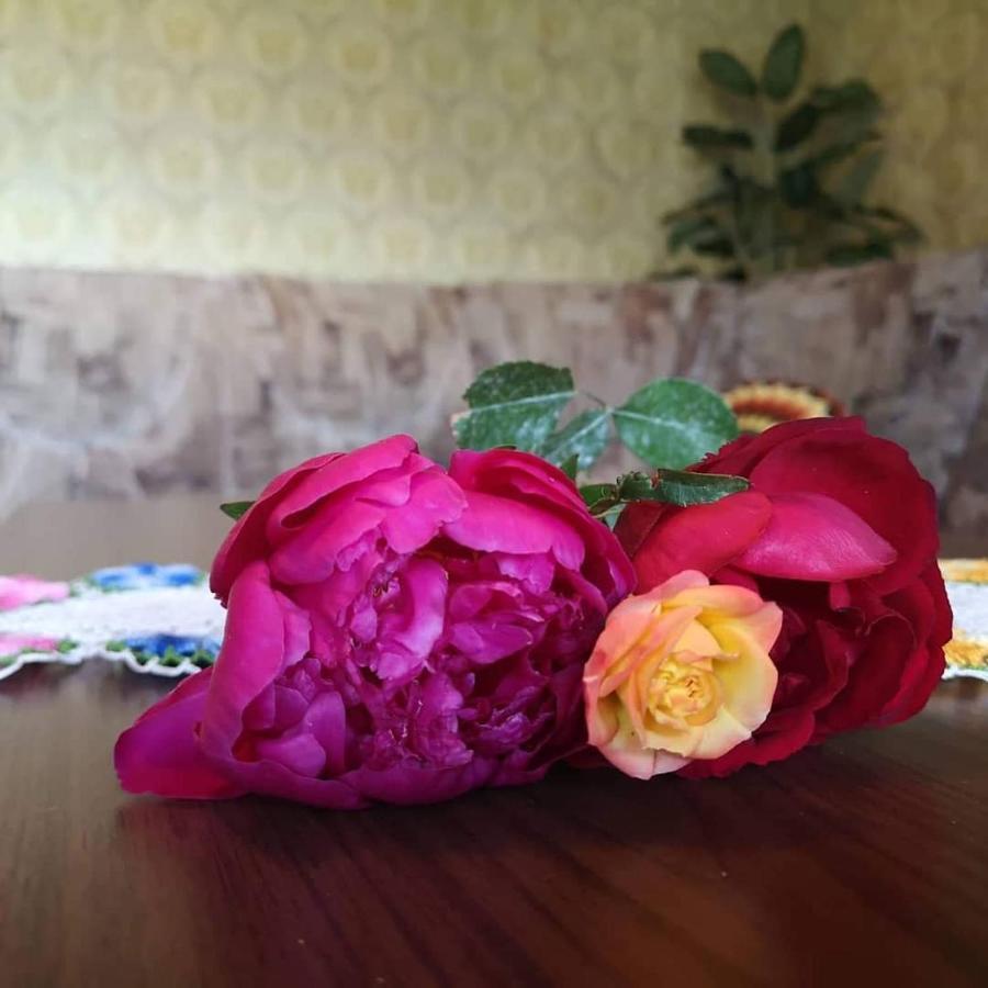 Apartma Floncna Daire Bovec Dış mekan fotoğraf